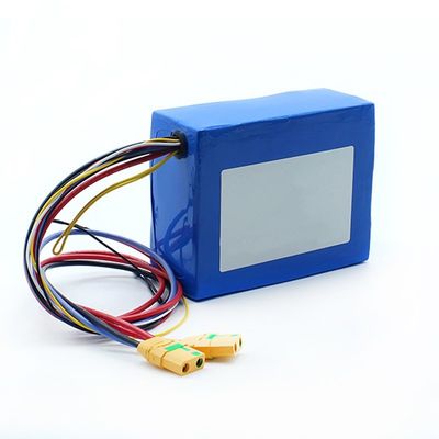 Pak Baterai Li-Polymer SGS 13s 48v 24Ah 21700 BIS MSDS IEC62133 Rohs